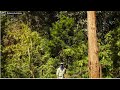 Marijuana Australiana 2016 Full Documentary