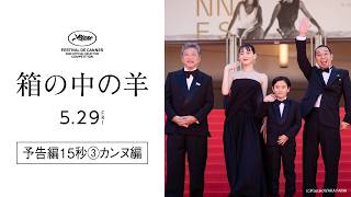 『箱の中の羊』【5/29（金）公開】予告編15秒③カンヌ編