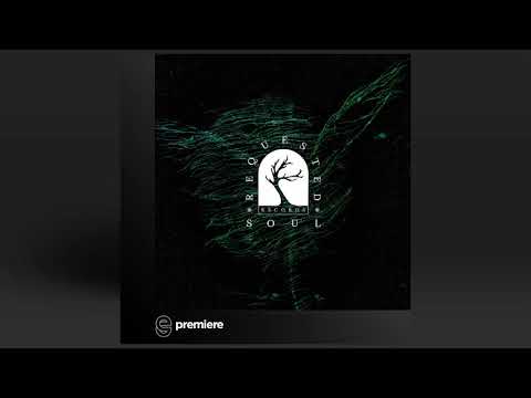 Premiere: Idem Nevi - Daemon - Requested Soul Records