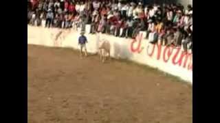 preview picture of video 'Rodeo Tlaunilolpan- feria 2012-part.1.mp4'