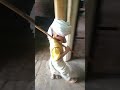 Dhakad Chora