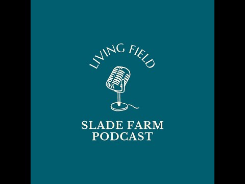 Living Field - #02 - Family Growing Workshops