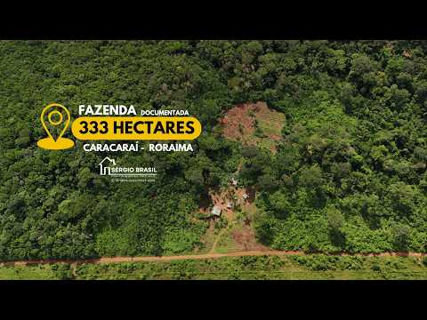 Fazenda 333 hectares Vila Petrolina - Caracaraí - RR