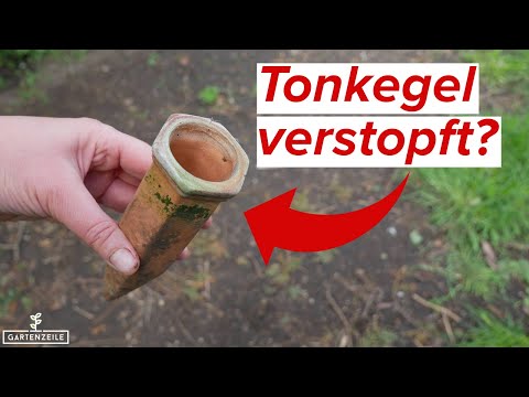 Tonkegel und Olla verstopft -  das kannst du tun!