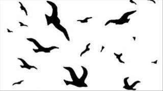 Schandmaul   Vogelfrei