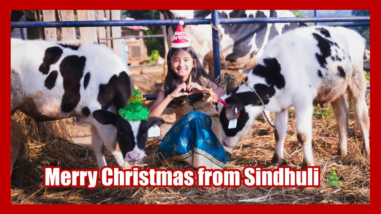 Merry Christmas from Sindhuli🎄후원자님들 즐거운 성탄절 보내세요~🎅🎁