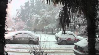 preview picture of video 'Снег в Сочи. 1 февраля 2012.'