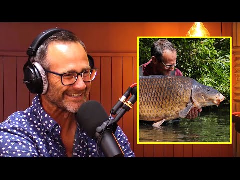 Simon Scott on THE BURGHFIELD COMMON | Korda Podcast Clips