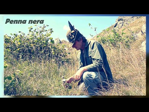 Penna Nera - Canzone Alpini - Scene interpretative su musica e testo.