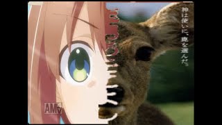 「しかのこのこのここしたんたん」のOPを「鹿男あをによし」のEDに変えてみた