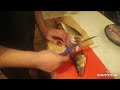 Video Thumbnail for How We Fillet Walleye