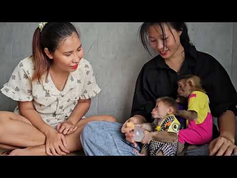 Old video: Nahu family reunites with Monkey Leo and Monkey Lambo.