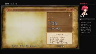 ドラクエ11　縛りプレイ