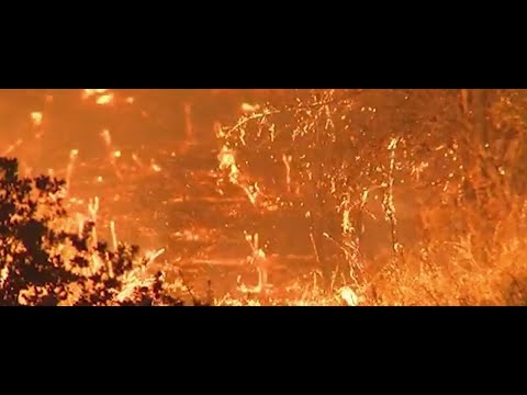 Gov. Newsom vows more action against climate change