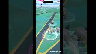 セビエ色違い✨ #pokemongo #pokemon #ポケgo #shinypokemon #ポケモンgo