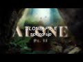Alan Walker Ava Max Alone Pt II Speed Up