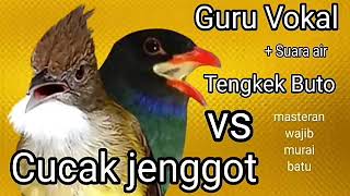 Download lagu Masteran super ll Cucak jenggot vs Tengkek buto mp3