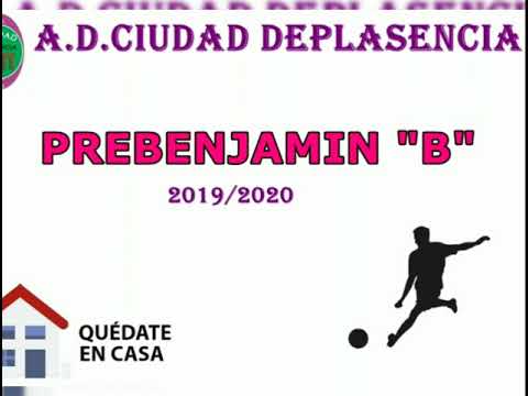 Presentación Prebenjamín B temporada 2019/2020