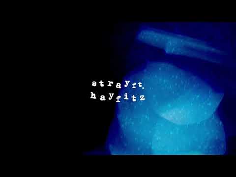 Video thumbnail for Stray