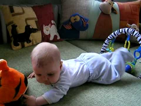 4.12.2008, Hra s tygrem