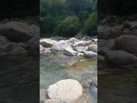 tirando baño en cisneros Antioquia Colombia 👙👙👙👙