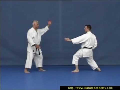 Bunkai -  Meikyo - Par Jean Pierre Lavorato