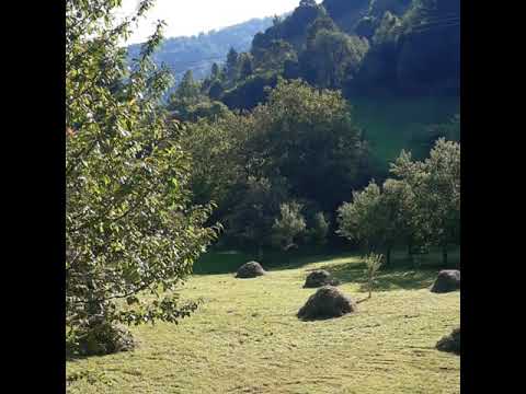 Maramureș   - Pensiunea La Maria Birsoan-Poienile Izei