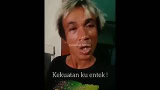 Download lagu gek ora metu metu sik bosku kekuatanku entek mp3