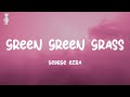 Green Green Grass George Ezra Lyrics