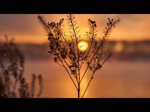 8 Hours Crackling Campfire Sound & Loon Call  **No Music**