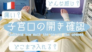 🤰🏻妊娠 | 健診、日本とフランスで違いすぎる！！🇫🇷🇯🇵