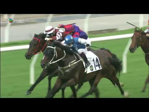 2021/22 (729) - Super Oasis (超級綠洲) - 巴度