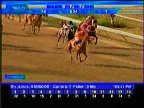 Resumen Sábado, 25 de Septiembre de 2010 - La Rinconada