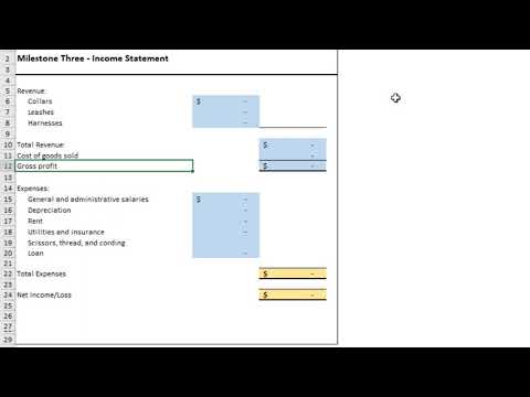 Acc202 Project Income Statement