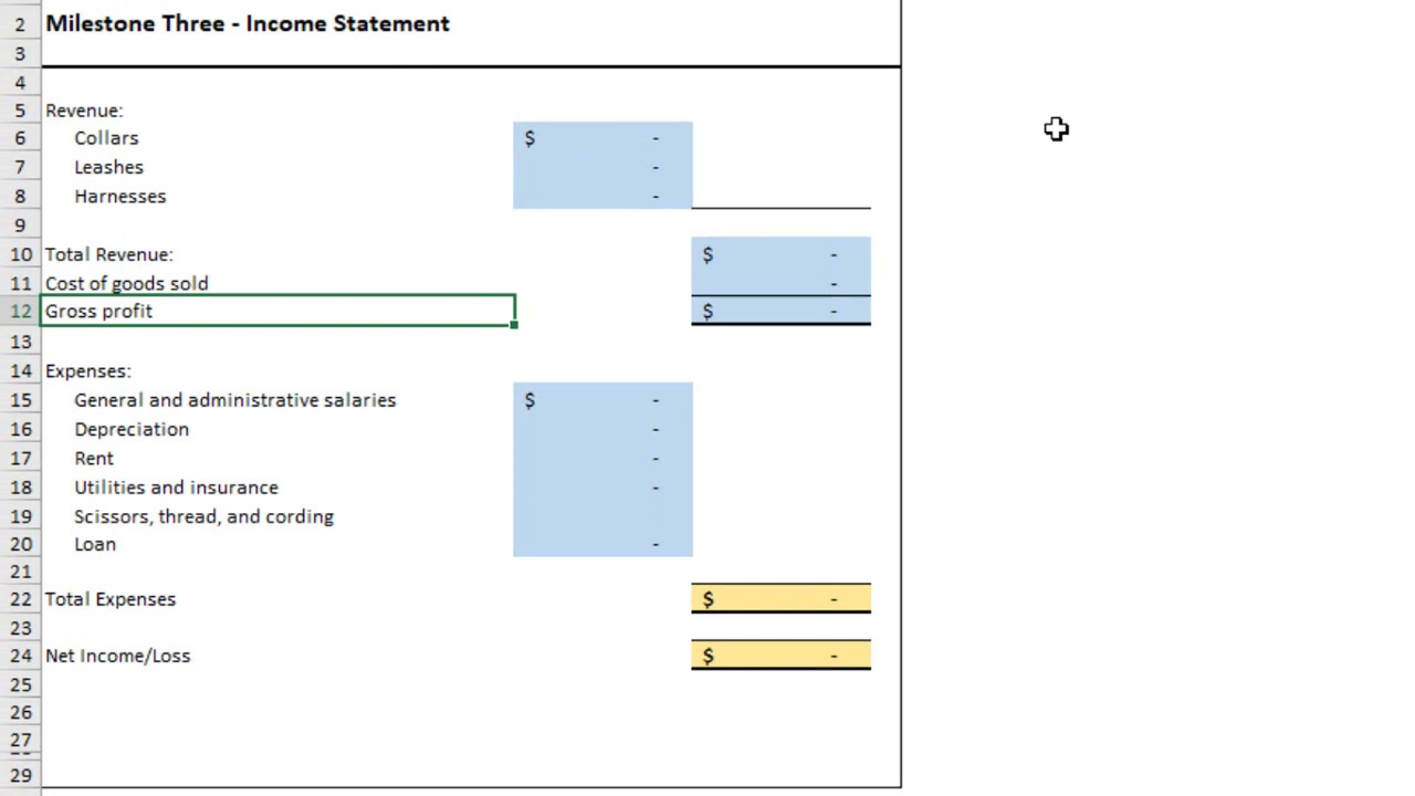 ACC202 Project: Income Statement