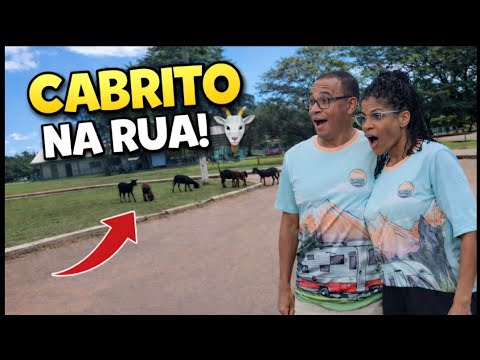 Olha o que encontramos :Em Porto Esperidião MT!