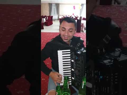 Bebe Dragomir-Petrecere cu prietenii de la Cărpinet.(Cover)