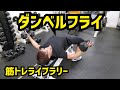 【筋トレライブラリー】ダンベルフライ
