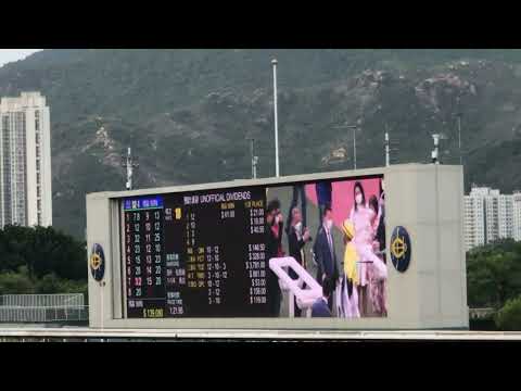 5/6/2022  金鑽貴人  潘明輝(拍攝日期2022年6月5日)  [(猜猜王)今期留言第2場]