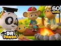 Campfire Fall Fun Learning Cartoon For Kids Dr Panda