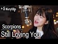 5 Key Up Still Loving You Scorpions Bubble Dia