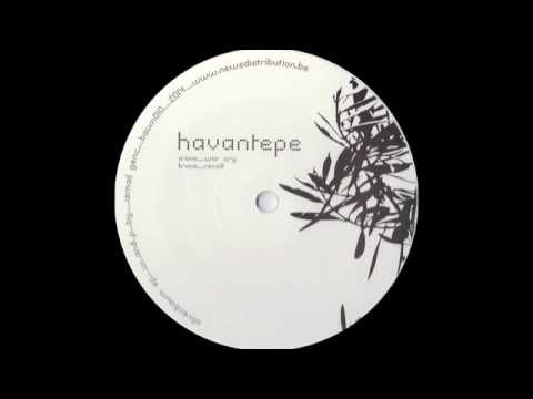 Havantepe - Revolt (2014)