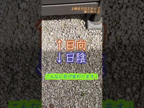 この冬、あなたのエクステリアを明るくするのに、ほとんど何も必要とせず、非常に素朴なコンテナプラント 6 つをご紹介します。  庭園