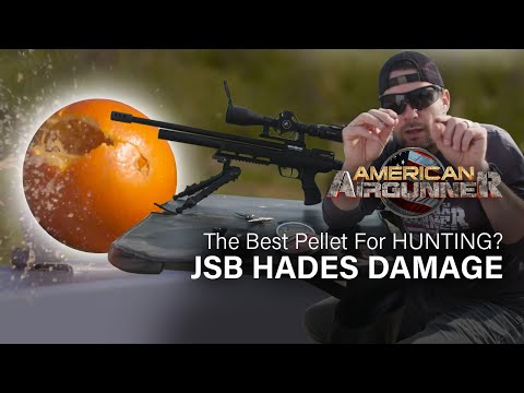The BEST Airgun HUNTING Pellet? JSB Hades DAMAGE
