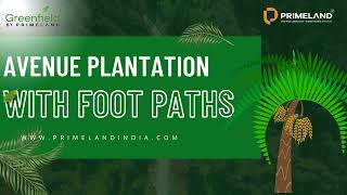  Agricultural Land for Sale in Addakal, Mahbubnagar