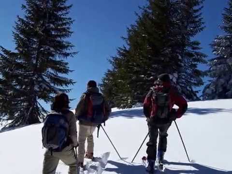 Öreg-havas (gyalui-havasok), 2015 március 8