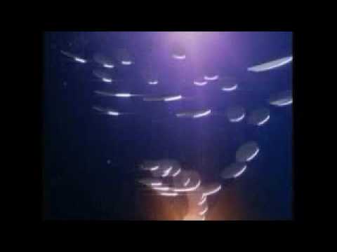 Pointless but its deal or no deal backwards