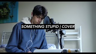 Frank Sinatra - Something Stupid | COVER