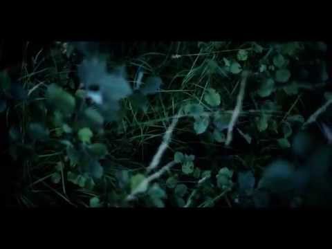 NEØV – The Rain People (official video)