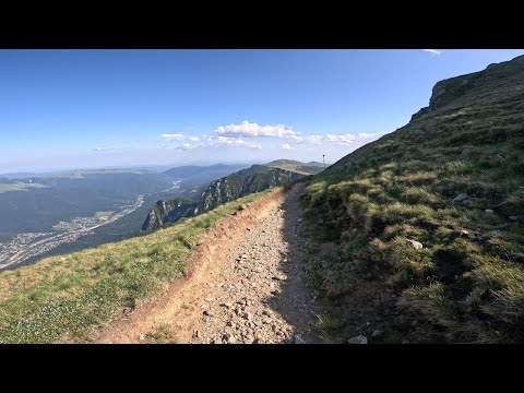 Into the Wild: Valea Albă